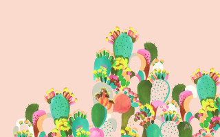 Cactus plants pink background pink - folk art free wallpaper