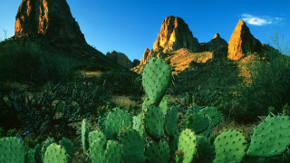 Cactus mountain blue sky clouds - a few cloud free wallpaper for desktop