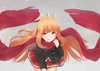 Girl long hair crown red 2 - a red scarf free wallpaper