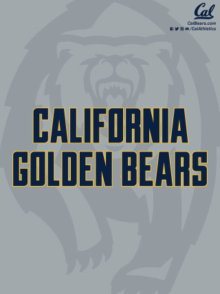 Gray yellow california golden bears - the center free wallpaper