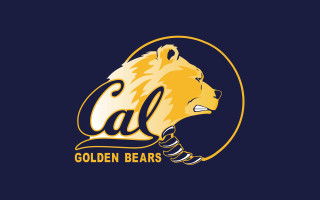 Golden bear black background blue - golden free wallpaper