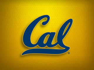 Cal logo yellow background blue - official medium free wallpaper