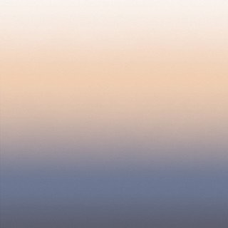 Lone bird beach sunset hazy - a beach free wallpaper for tablet