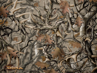 Camouflage background leaves deer antlers - a bunch of leaves free wallpaper