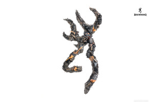 Black orange lizard air tail - carol bove free wallpaper