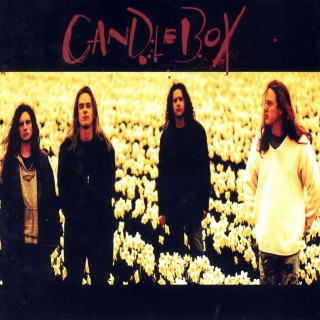 Group men field flowers candle - post grunge free wallpaper for tablet