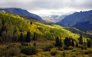 Mountain range forest snowy tops - the top of the mountains free wallpaper