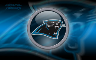 Panther logo blue black silver - darrell riche free wallpaper for desktop
