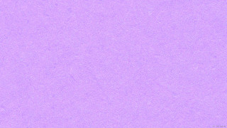 Purple background white bird black - the top of the image free wallpaper for desktop