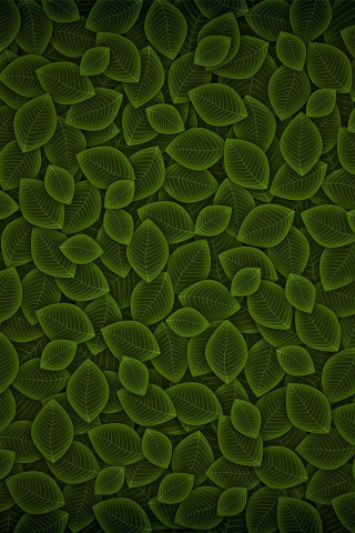Green background leaves black background - leaf free wallpaper for mobile