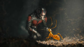 Ant man yellow ant man - imax 70 mm footage free wallpaper for desktop