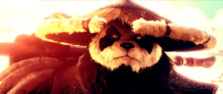 Panda bear hat feathers sky - a panda bear free wallpaper
