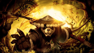 Panda hat sword forest trees - a panda bear free wallpaper