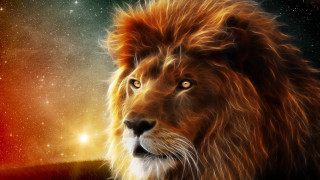 Lion red mane yellow eyes - majestic free wallpaper