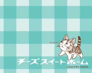 Cat hat checkered background standing - a screenprint free wallpaper