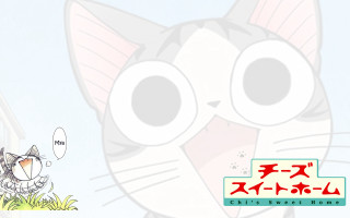 Cartoon cat funny caption foreign - foreign free wallpaper