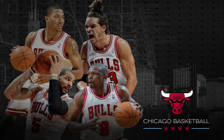 Bulls basketball players group logo - madhouse free wallpaper for desktop