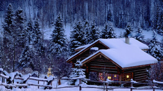 Cabin woods snow lights fence - roof free wallpaper