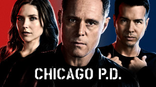 Man woman chicago pdd poster - david budd free wallpaper for desktop