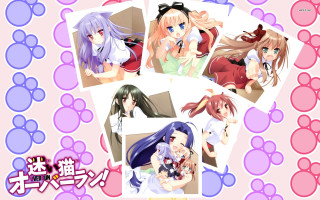 Anime girls multiple haircolors animal - different hair color and hair free wallpaper