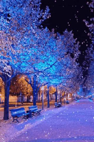 Park bench trees snow night - night time free wallpaper for mobile