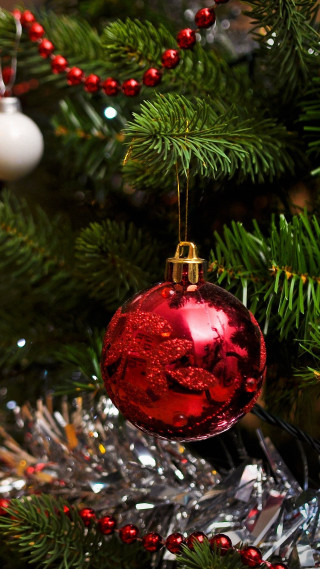 Red ornament christmas tree berries - free christmas wallpaper for mobile