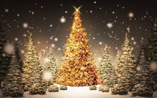 Christmas tree snow lighting falling - the snow free wallpaper