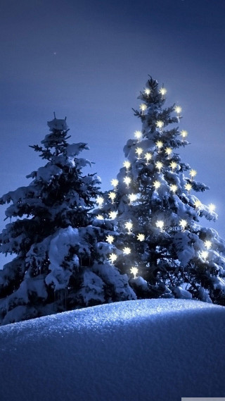 Snowy landscape christmas tree full - magical realism free wallpaper for mobile