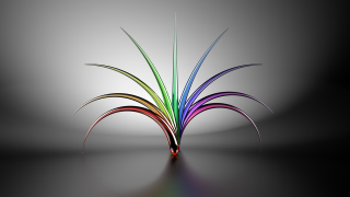 Colorful plant thin stems dark - thin free wallpaper for desktop
