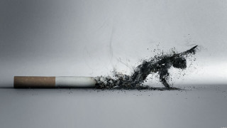 Cigarette horse broken thrown air - broken free wallpaper