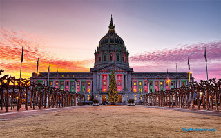 Large building christmas tree sunset - a pink sky in the background free wallpaper