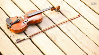Violin bow wooden floor string - composition free wallpaper