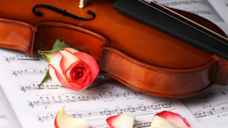 Violin rose sheet music notes - a rose free wallpaper