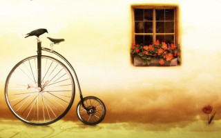 Bird bicycle window flower box - matte drawing free wallpaper