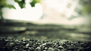 Rock surface tree background blurry - concrete art free wallpaper