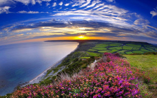Sunset grassy hill flower water - free summer wallpaper for desktop