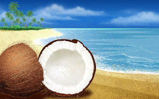 Coconut beach sky ocean palm - a blue sky and ocean in the background free wallpaper for desktop