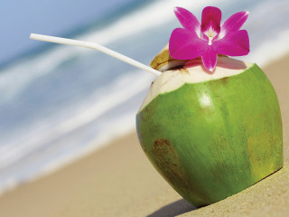Green coconut drink pink flower - a.d.m. cooper free wallpaper for desktop