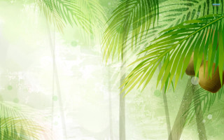 Green palm tree white background - plein air free wallpaper