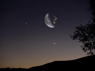 Crescent moon star night tree - moon free wallpaper for desktop