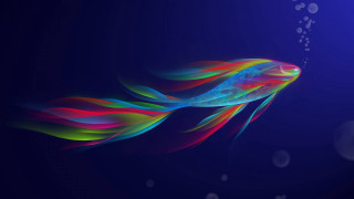 Colorful fish floating bubbles blue - computer art free wallpaper for desktop