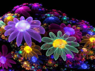 Flowers dark lights black background - fluorescent free wallpaper for desktop