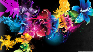 Colorful flower background black white - vivid color free wallpaper