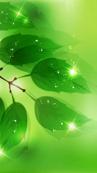 Green leaves water drops environmental - environmental free wallpaper for mobile