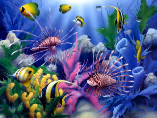 Sea life fantasy coral reef - fish and corals free wallpaper for desktop