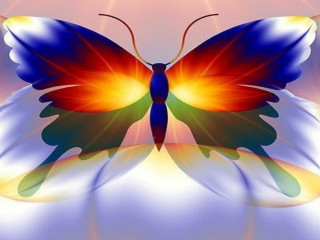 Colorful butterfly blue yellow red - a colorful butterfly free wallpaper