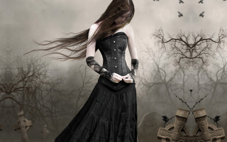 Woman black dress field bird - anne stokes free wallpaper