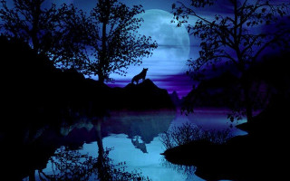 Wolf rock moonlight fullmoon lake - full moon free wallpaper for desktop