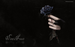 Hand holding rose ring black - a hand holding free wallpaper