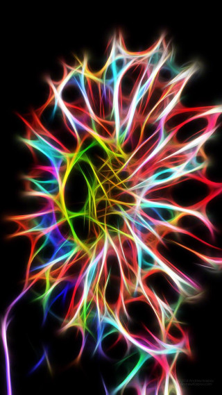 Colorful flower black background white 2 - neon color free wallpaper for mobile